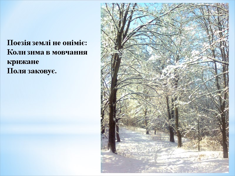 Поезія землі не оніміє:  Коли зима в мовчання крижане  Поля заковує.